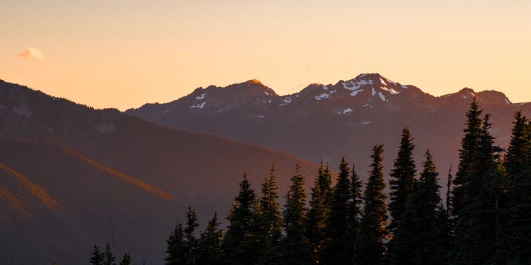 Alpenglow Over Forest Peaks