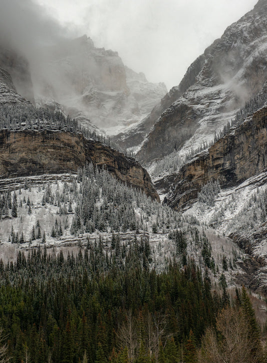 Foggy Mountainview