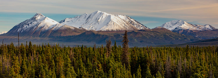 Golden Hour Reflection at Mountain Lake with Rustic Cabin1