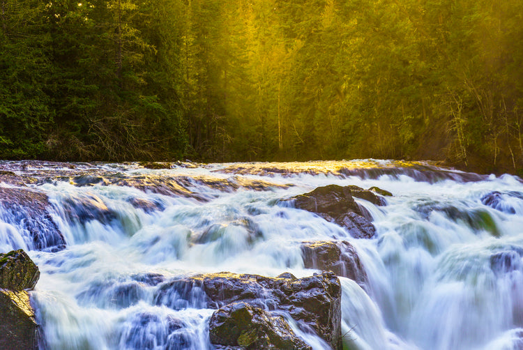 Golden Surge