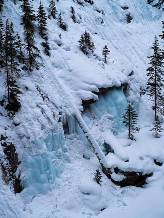 Icefield closeup