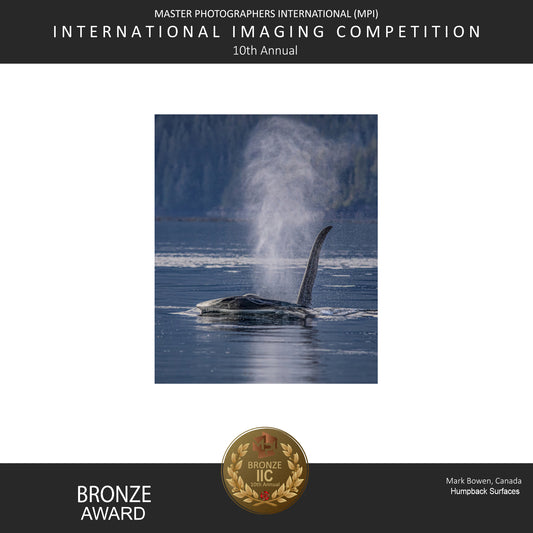 Award humpback surfaces
