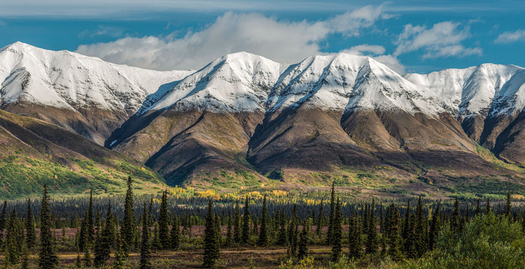 Mountain View North