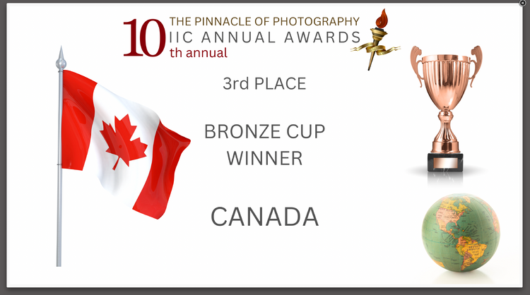 Award Canada Bronze Cup