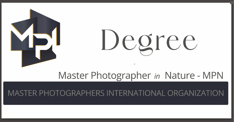 Degree Master Photographer in Nature