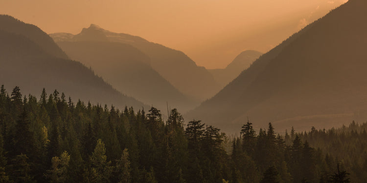 Smoky Mountain 2