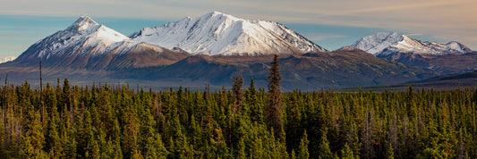 Snow-Capped Giants Overlooking the Evergreen Sea"