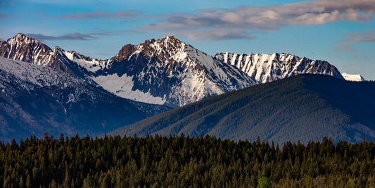 Snow-Capped Majesty Over Verdant Slopes