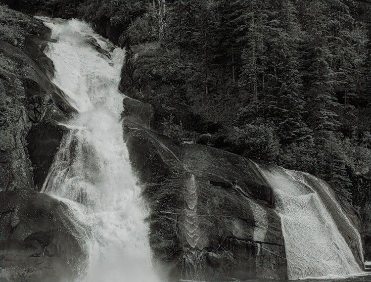 Timeless Flow