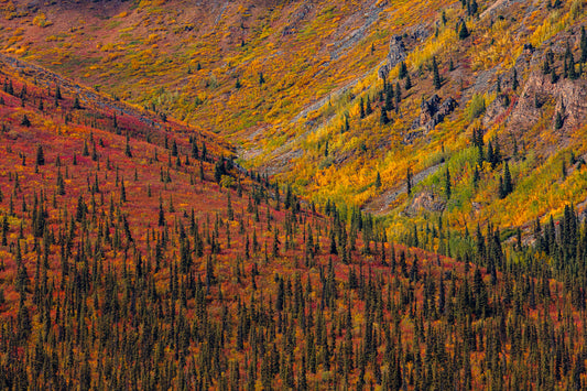 Tombstone Fall 12