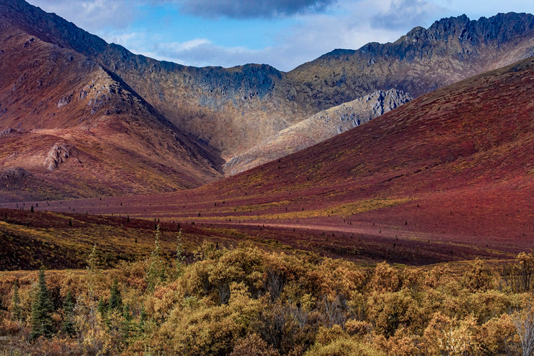 Vivid Autumn Tundra Nestled Among Rugged Peaks