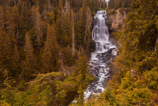 Whistler Falls 2