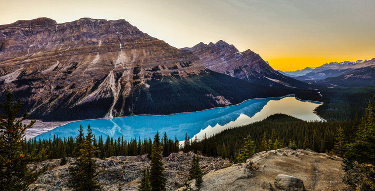 Peyto sunset