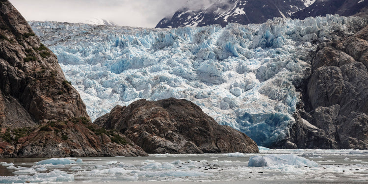 Tracy Fjord closeup