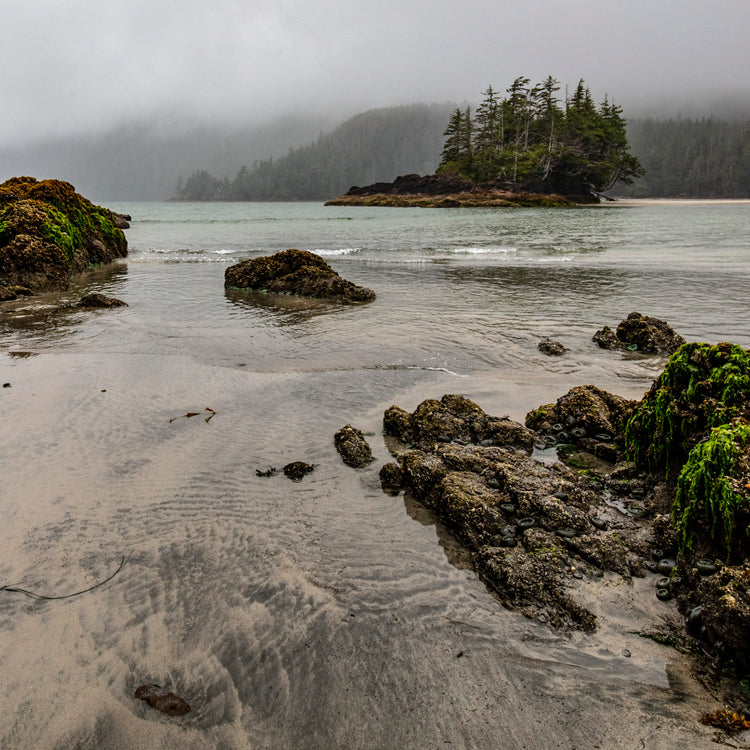Coastal serenity