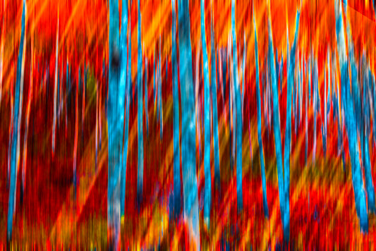 Abstract Autumn Forest with Blue Trunks