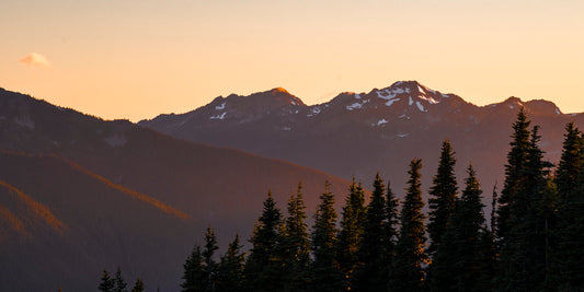 Alpenglow Over Forest Peaks