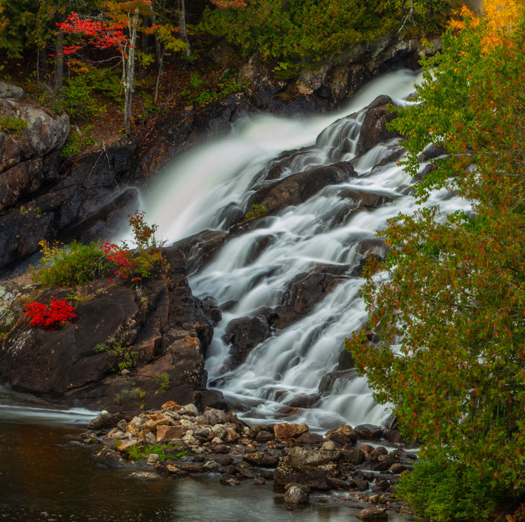 Autumn Falls