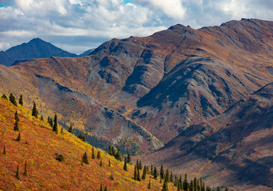 Autumn Hues on Rugged Slopes