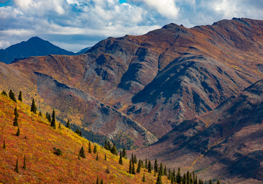 Autumn Hues on Rugged Slopes (D)