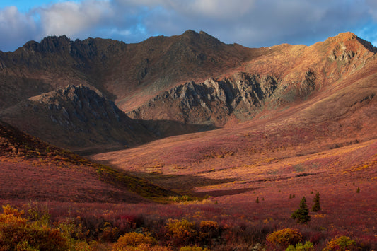 Autumn Valley Shadows