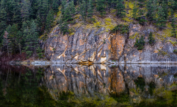 Forest Reflections at Dusk