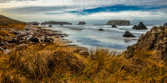 Coastal Remnants