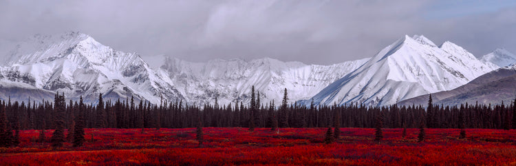 Crimson Tundra & Snowclad Giants