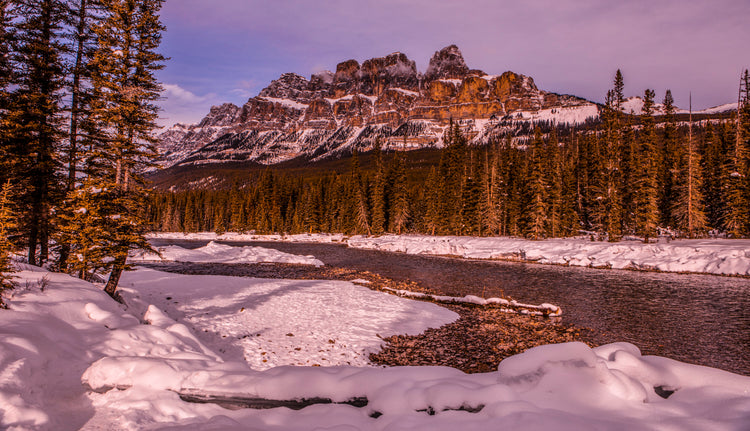 Crown of Ice and Stone