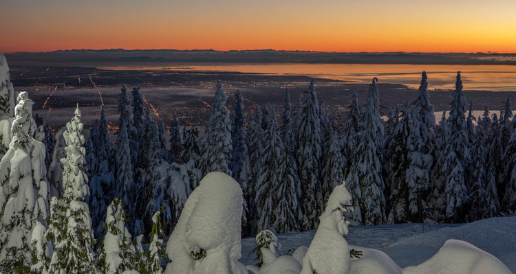 Crown of Winter, City of Lights