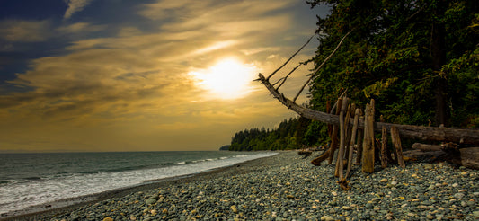 Driftwood Watchtower