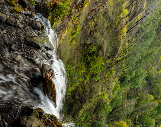 Edge of the Fall