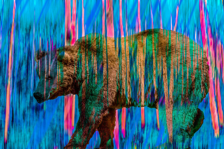 Electric Calm – Bear Through Blue Rain