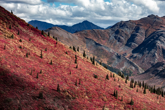 Mountain landscape with red and brown hues on a hillside under a cloudy sky.