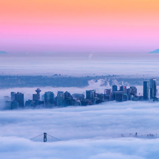 Fog Over the City