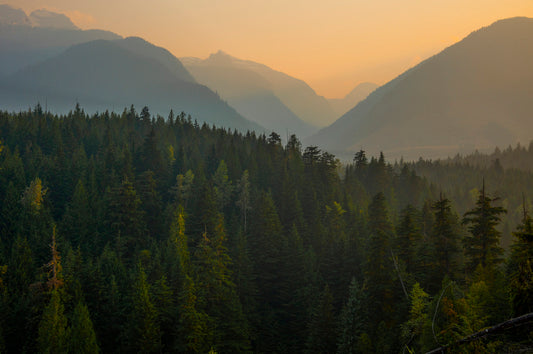 Forest Fire Canada Smoke In The Mountain