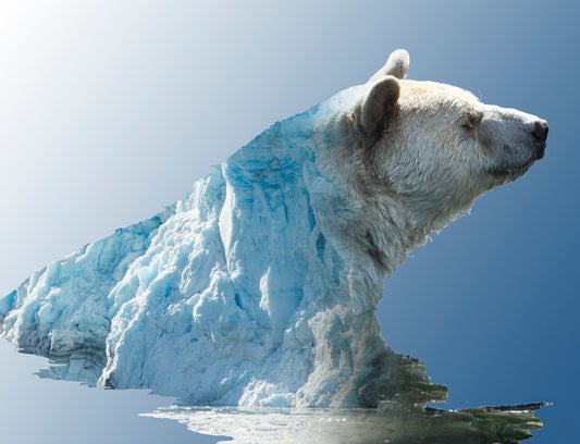 Frozen Spirit – Polar Tranquility