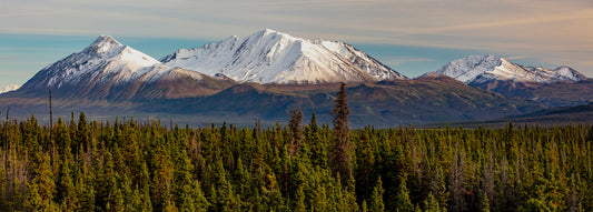 Golden Hour Reflection at Mountain Lake with Rustic Cabin1