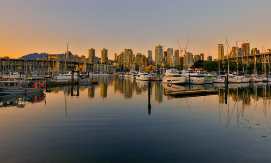 Golden Stillness at False Creek