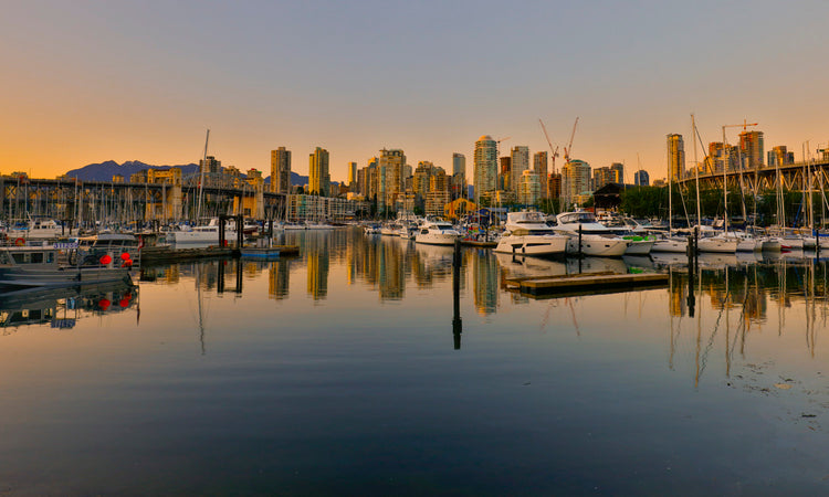 Golden Stillness at False Creek