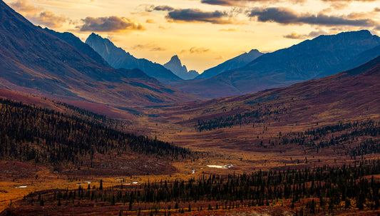 Golden Valley Sunset Framed by Jagged Peaks