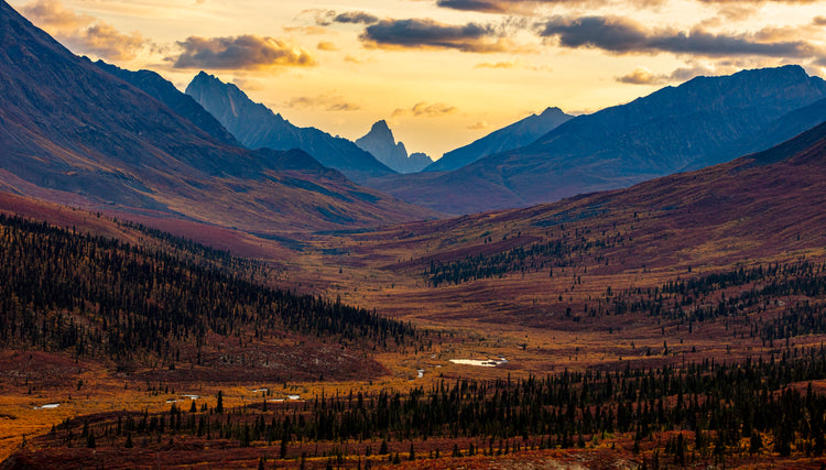 Golden Valley Sunset Framed by Jagged Peaks