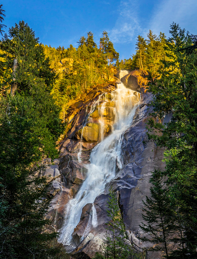 Golden Veil