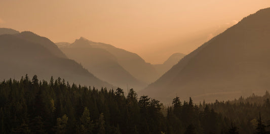 Golden Mountain Silence