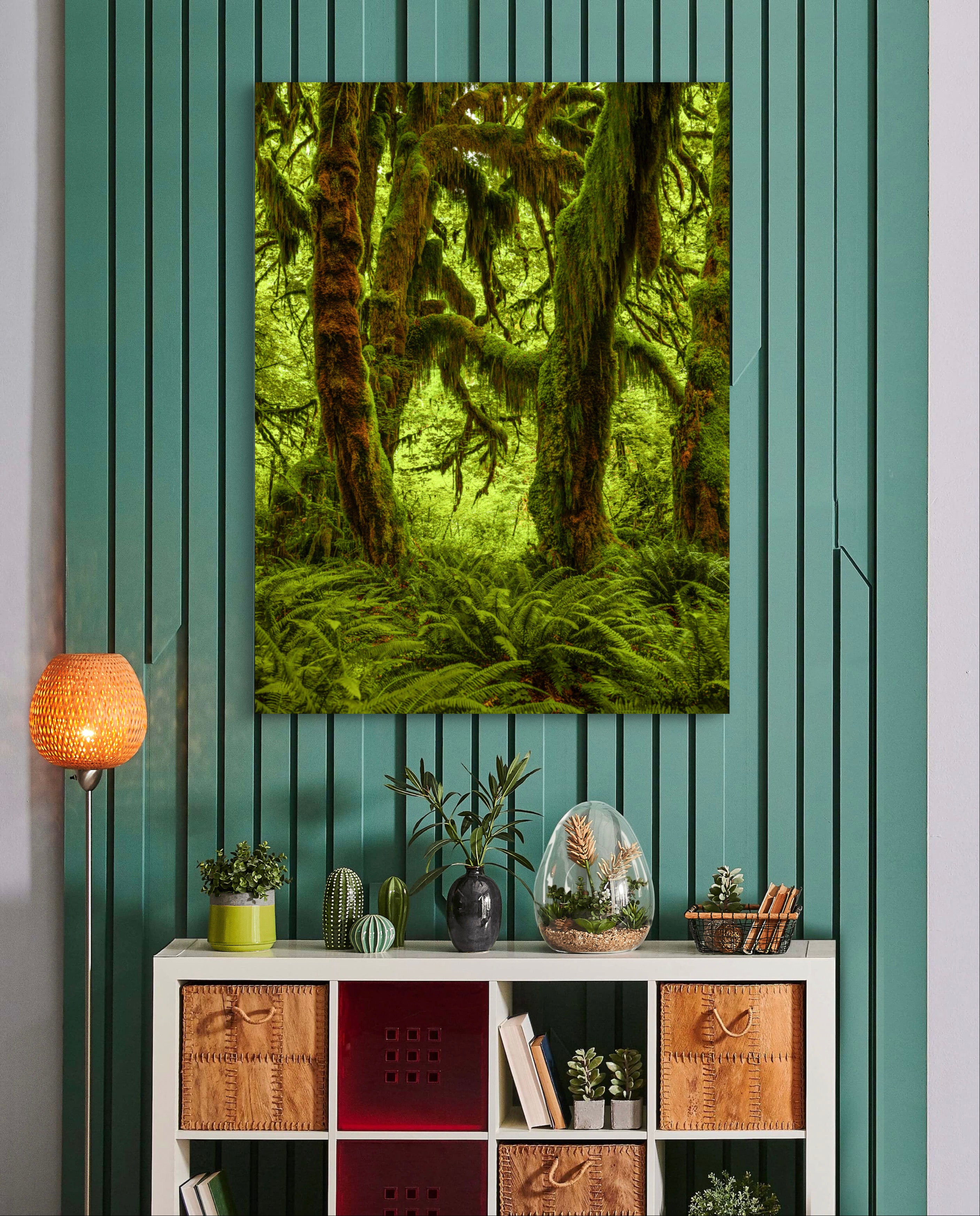 Hoh Trees Embrace