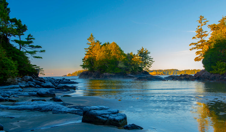 Harbor of Morning Light