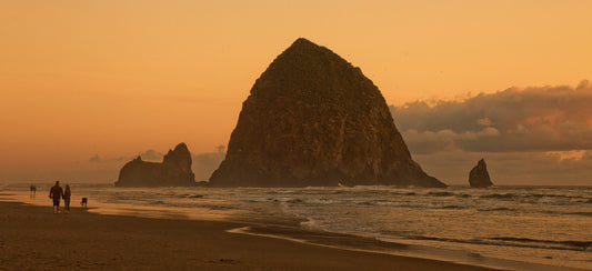 Haystack Reverie