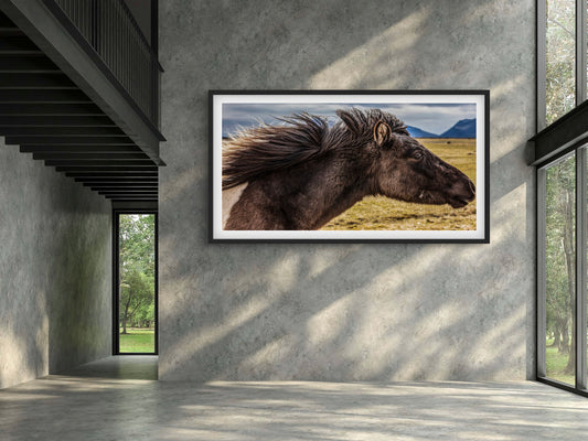 Horse Mane Flyby