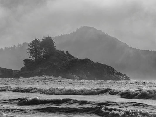 Into the Mist