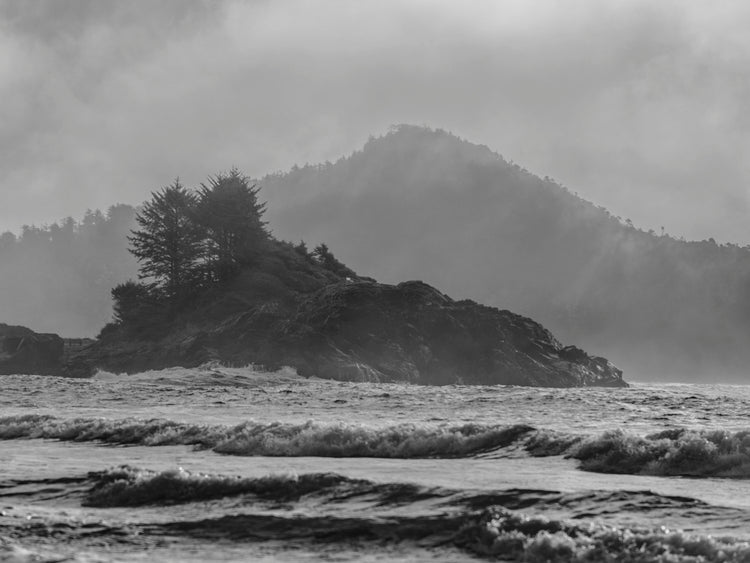 Into the Mist